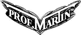 پروفسور مارتین